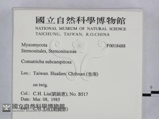 登錄號:F0018488藏品圖，第2張