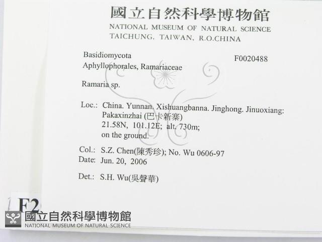 登錄號:F0020488藏品圖，第2張