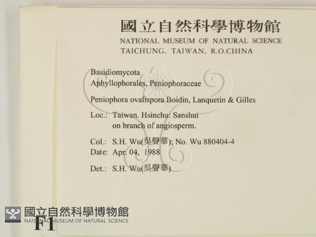 登錄號:F0010488藏品圖，第2張