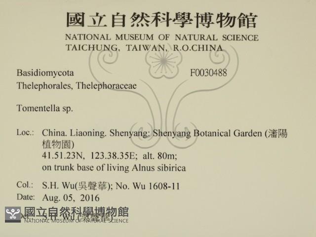 登錄號:F0030488藏品圖，第2張