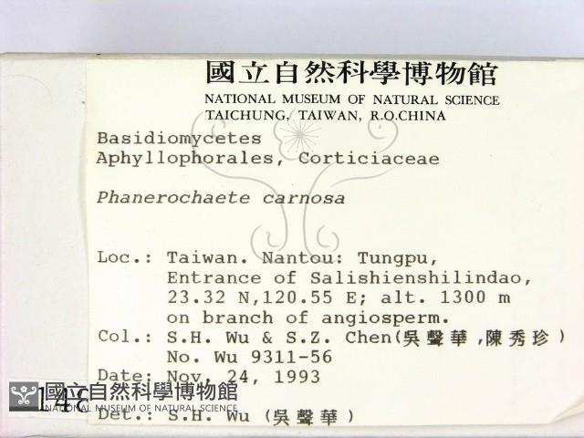 登錄號:F0001488藏品圖，第2張