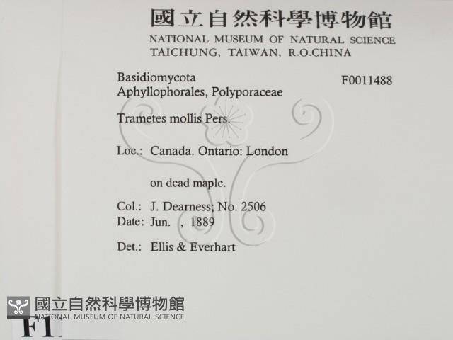 登錄號:F0011488藏品圖，第2張