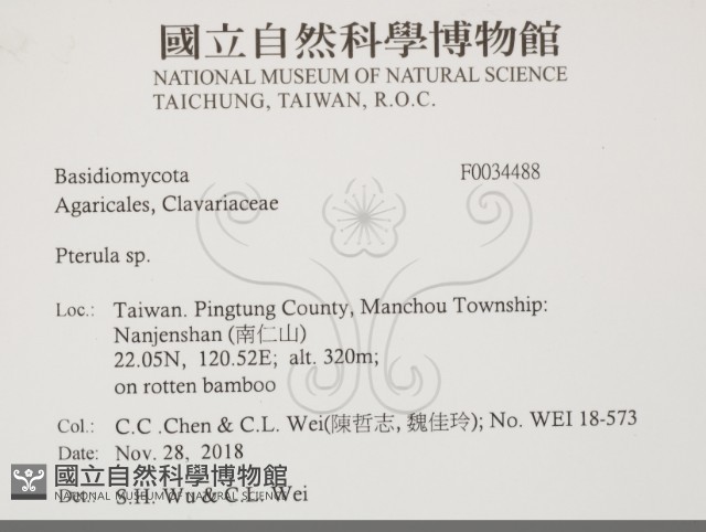 登錄號:F0034488藏品圖，第2張