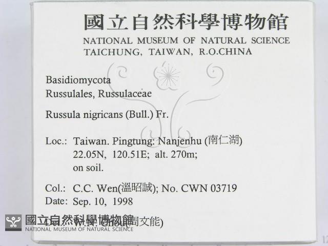 登錄號:F0012488藏品圖，第2張