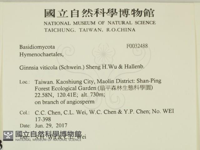 登錄號:F0032488藏品圖，第2張