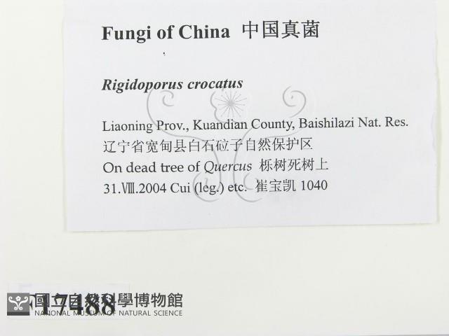 登錄號:F0017488藏品圖，第2張