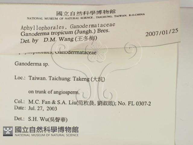 登錄號:F0015488藏品圖，第2張