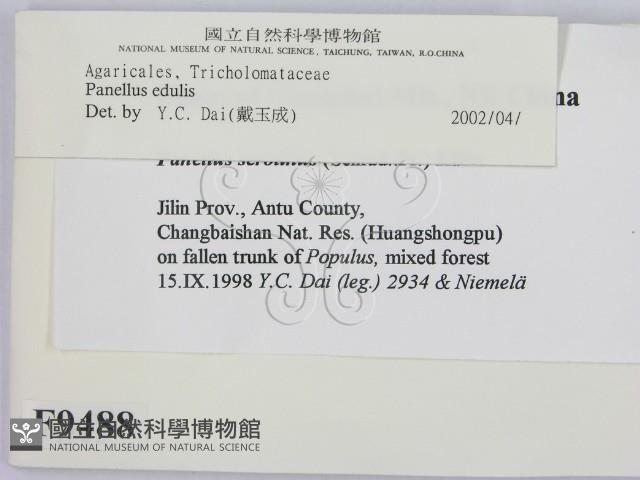 登錄號:F0009488藏品圖，第2張