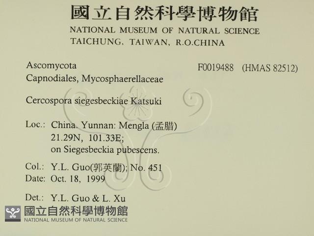 登錄號:F0019488藏品圖，第2張