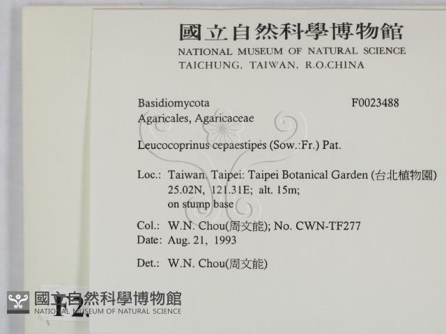 登錄號:F0023488藏品圖，第2張