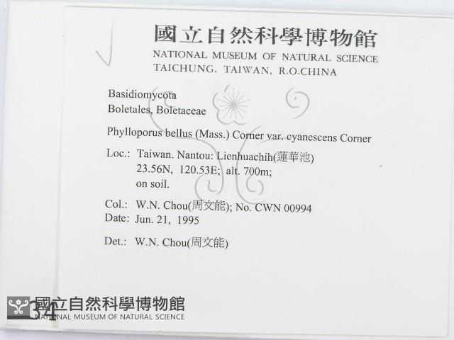 登錄號:F0003488藏品圖，第2張