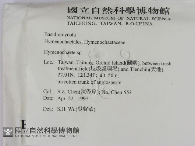 刺革菌屬藏品圖，第2張