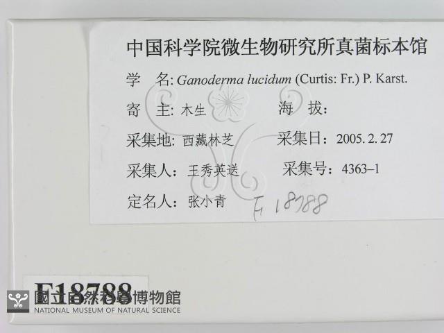登錄號:F0018788藏品圖，第2張