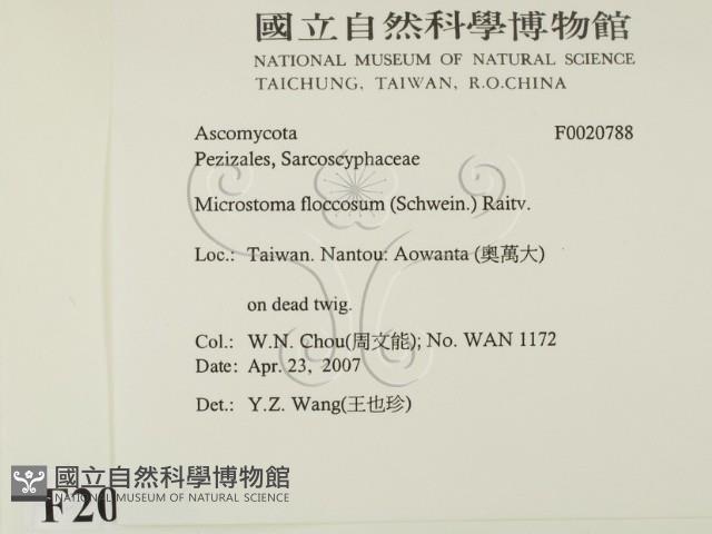 登錄號:F0020788藏品圖，第2張