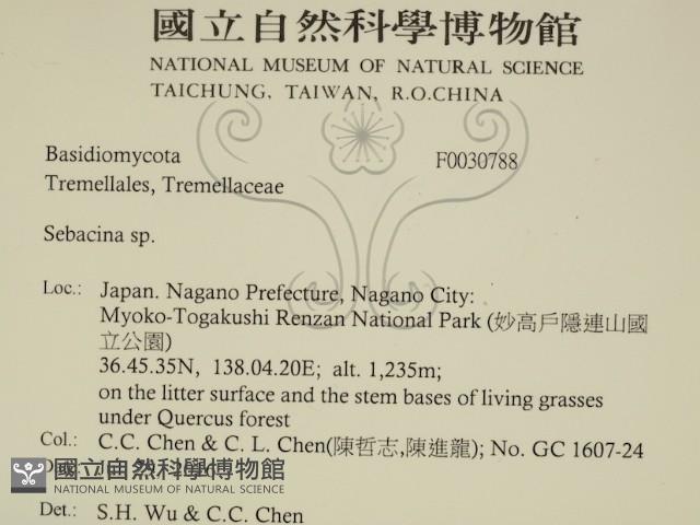 登錄號:F0030788藏品圖，第2張