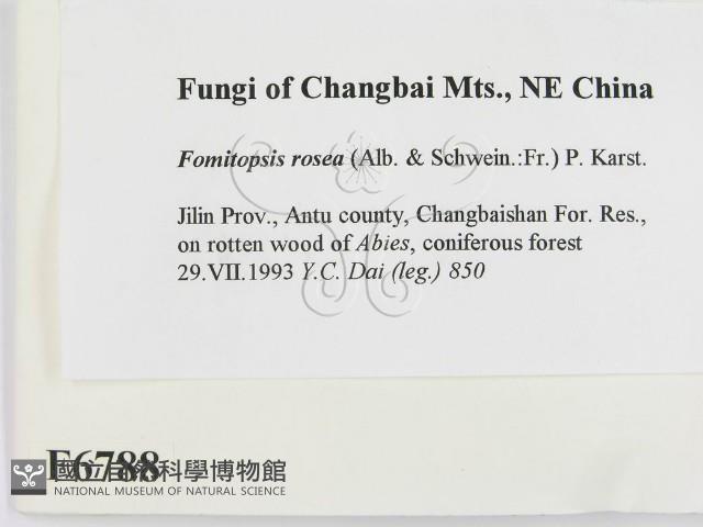 登錄號:F0006788藏品圖，第2張