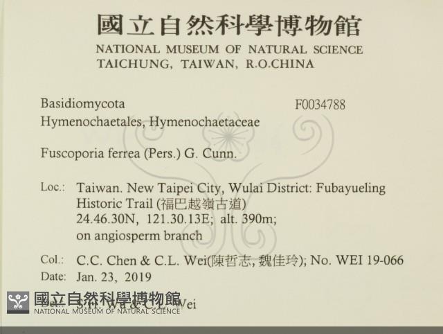 登錄號:F0034788藏品圖，第2張