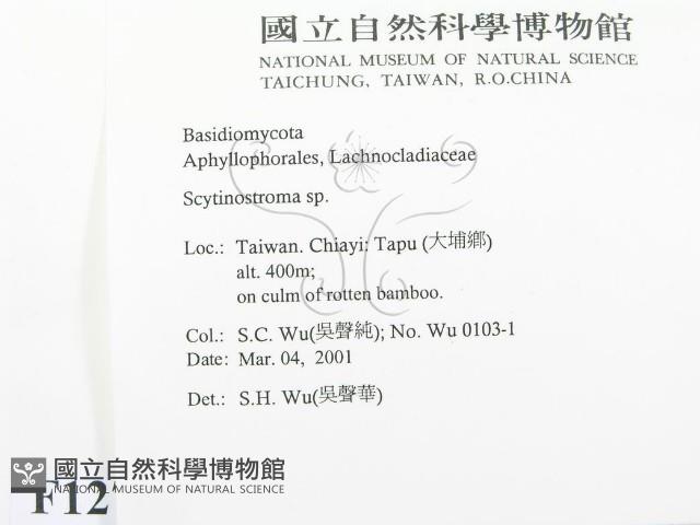 登錄號:F0012788藏品圖，第2張