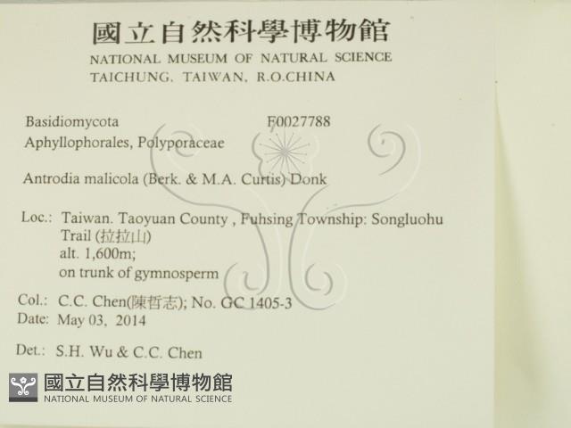 登錄號:F0027788藏品圖，第2張