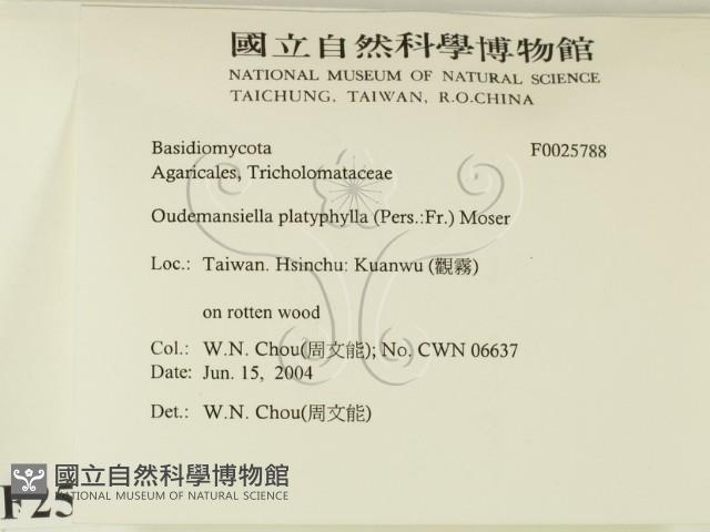 登錄號:F0025788藏品圖，第2張