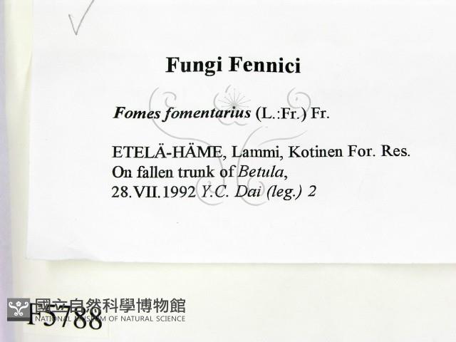 登錄號:F0005788藏品圖，第2張