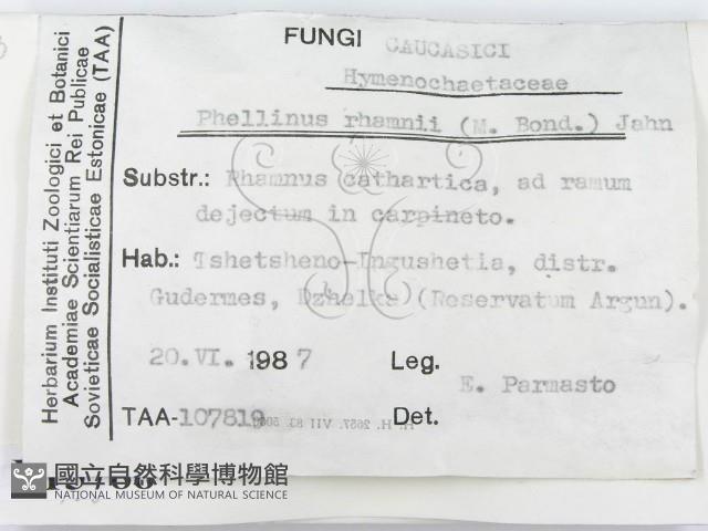 登錄號:F0015788藏品圖，第2張