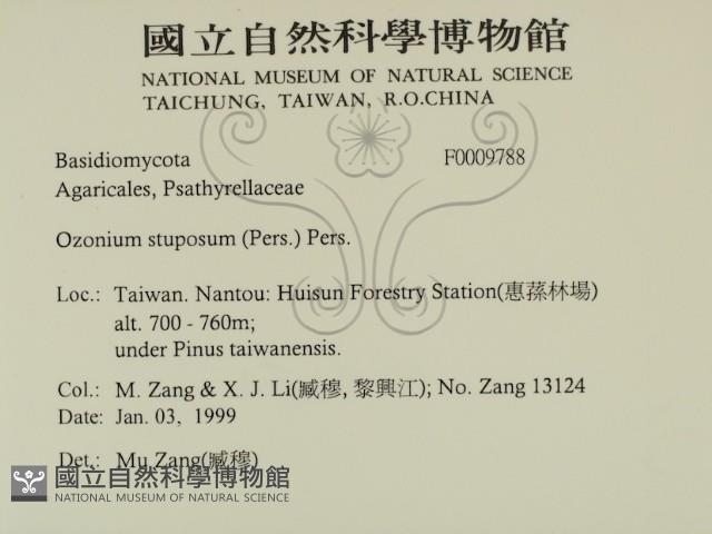 登錄號:F0009788藏品圖，第2張