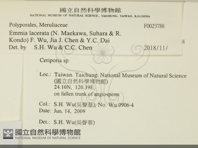 登錄號:F0023788藏品圖，第2張