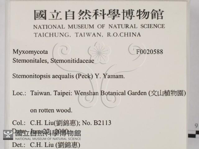 登錄號:F0020588藏品圖，第2張