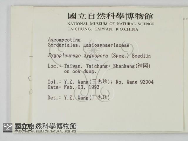 登錄號:F0000588藏品圖，第2張