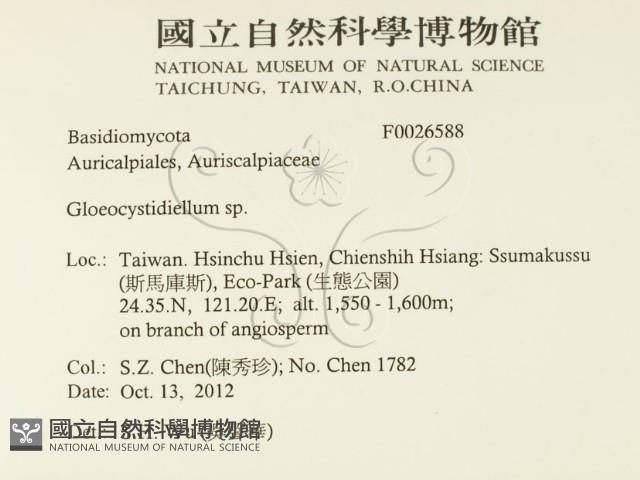 登錄號:F0026588藏品圖，第2張