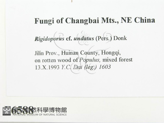 登錄號:F0006588藏品圖，第2張