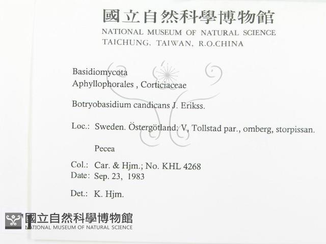 登錄號:F0016588藏品圖，第2張