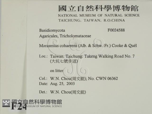 登錄號:F0024588藏品圖，第2張