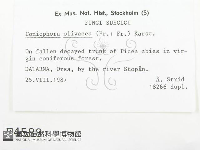 登錄號:F0004588藏品圖，第2張