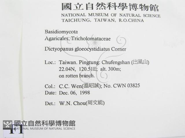 登錄號:F0012588藏品圖，第2張