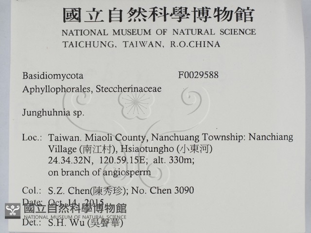 容氏菌屬藏品圖，第2張