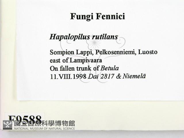 登錄號:F0009588藏品圖，第2張