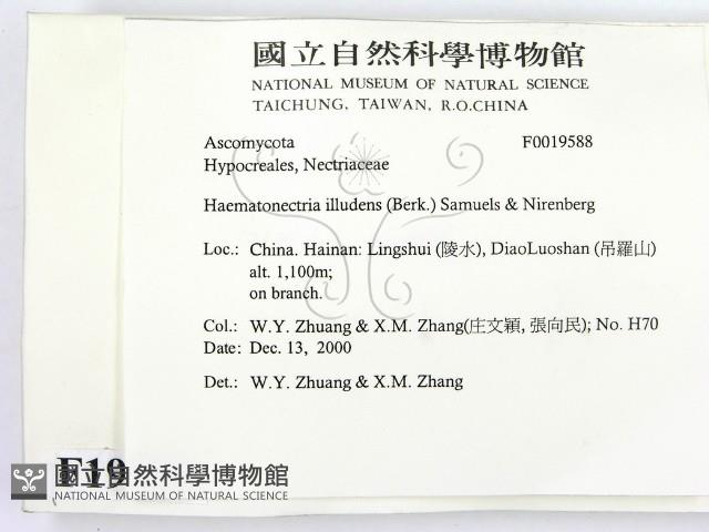 登錄號:F0019588藏品圖，第2張