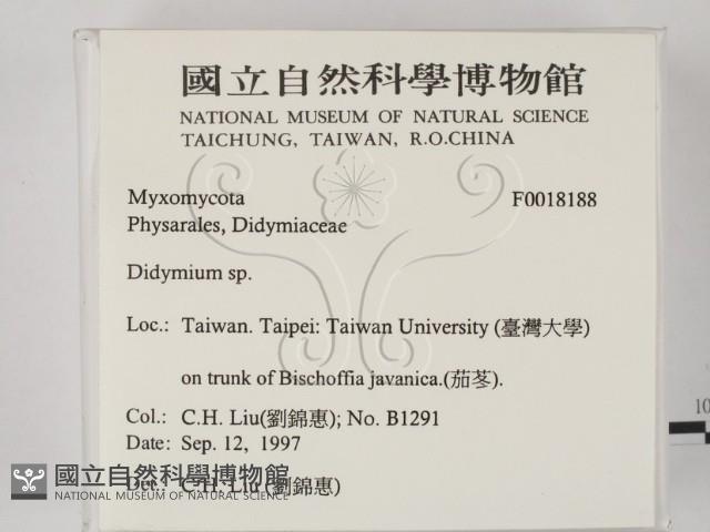登錄號:F0018188藏品圖，第2張