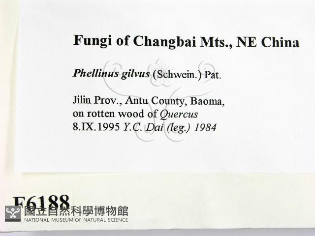 登錄號:F0006188藏品圖，第2張