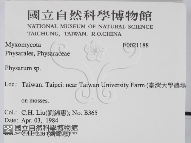 登錄號:F0021188藏品圖，第2張