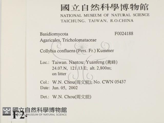 登錄號:F0024188藏品圖，第2張