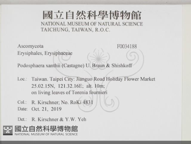 登錄號:F0034188藏品圖，第2張