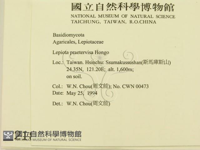 登錄號:F0002188藏品圖，第2張