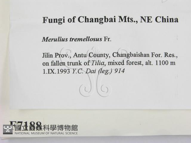 登錄號:F0007188藏品圖，第2張