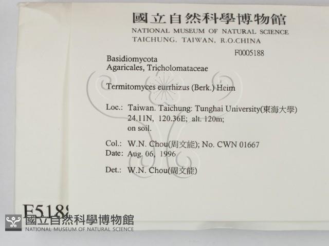 登錄號:F0005188藏品圖，第2張