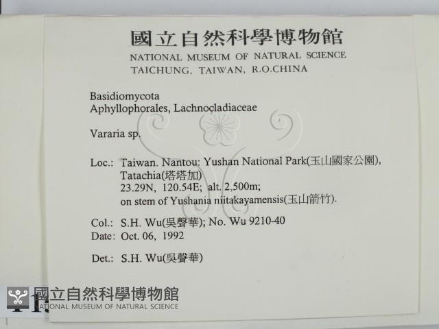 登錄號:F0015188藏品圖，第2張