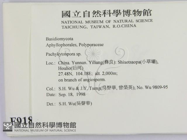 登錄號:F0009188藏品圖，第2張