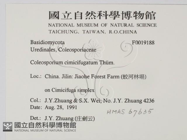 登錄號:F0019188藏品圖，第2張
